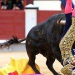 İspanya'da boğa, matadoru öldürdü