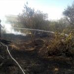 Elazığ'da örtü ve bahçe yangını