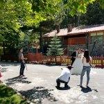Seydişehir'deki kuğulu park doğal fotoğraf stüdyosu oldu