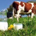 ESK'dan 4.5 tonluk süt tozu satışı