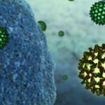 Hepatit B virüsünü taşıyanların oranı yüzde 4