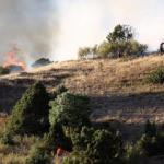 Erzincan'da arazide çıkan yangın söndürülemiyor