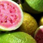 Saç dökülmesinden koruyan guava meyvesinin faydaları