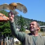 Peçeli baykuş Burdur'da tedavi ediliyor