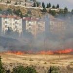 Beypazarı'nda ot yangını