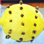 Sivrisinek ve b&ouml;ceklerden kurtulmak i&ccedil;in ne yapmalı?