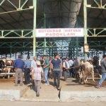 Kurban Bayramı'na doğru