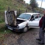 T&uuml;rkeli'de ara&ccedil; yangını