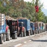 Erzincan'da şeker pancarı alımına başlandı