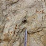 Mersin'de 8 bin yıllık kaya resimleri bulundu