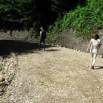 T&uuml;rkeli Orman İşletme M&uuml;d&uuml;rl&uuml;ğ&uuml; &ccedil;alışmaları