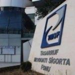TMSF'ye bağlı şirketler yüzde 29 büyüdü