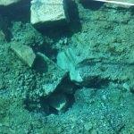 Pamukkale'deki antik havuzda çökme ile ilgili inceleme yapıldı