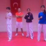 Gençler Türkiye Tekvando Şampiyonası