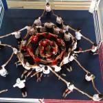 Milli boksörlerden şehitler anısına İstiklal Marşı klibi