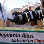 Kahramanmaraş'ta 5. Geleneksel Elma Festivali