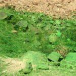 CHP'li &uuml;şenge&ccedil; belediyenin son icadı!