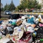 Belediye mağdur etti! Diyarbakır çöp şehre döndü!