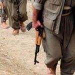 Eyleme hazırlanan PKK'lı terörist yakalandı