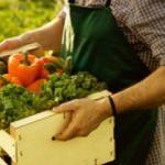 3 Türk girişimciden organik tarım için önemli bir buluş