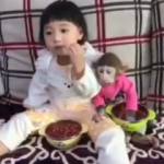 Yaramaz maymunla küçük kızın çerez mücadelesi
