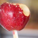 Isırmadan &ouml;nce mutlaka bunu yapın!