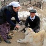 Köyde aç kalan "yavru köpekler" için 1 ton mama