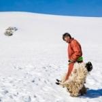 Moğolistan i&ccedil;in acil yardım &ccedil;ağrısı