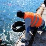 Bodrum&rsquo;da denizin dibinden &ccedil;ıkanlar şaşırttı