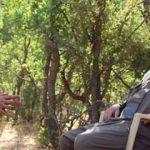 PKK'lı Deniz Yücel FETÖ aşığı çıktı