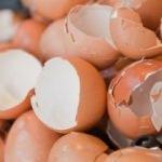 Yumurta kabuğu nerelerde kullanılır?
