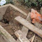 Mezarlıkta ayı dehşeti! 15 metre uzakta bulundu