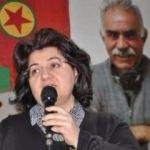 Emine Ayna Diyarbakır'da gözaltına alındı!