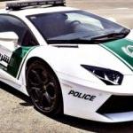 Dubai polisinin arabaları rekorlar kitabına girdi