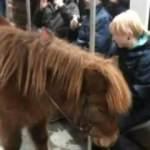 Dünyada metrolardaki tuhaf kareler