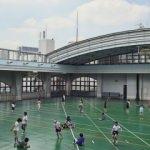 Ülkeden ülkeye değişen okul bahçeleri...