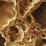 Ne olduğunu tahmin edebildiniz mi?