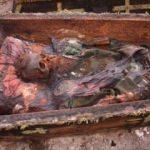 Peşine düştüler! İlk incelemeler tamamlandı