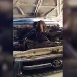 Sosyal medyanın yeni fenomeni oldu!
