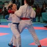 Avrupa Karate Şampiyonası