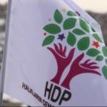 HDP'li vekile tutuklama kararı!