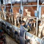 Avusturya heyeti, Kars'taki süt üretme tesislerini inceledi