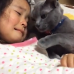 Ağlayan çocuğu kedisi böyle teselli etti