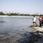 Adana'da nehre giren Iraklı çocuk kayboldu