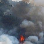 İzmir'deki makilik ve orman yangını