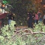 Kadıköy'de ağaç devrildi: 3 yaralı 