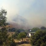 Bodrum'da makilik ve otluk alanda yangın
