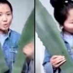 Çinli Vlogger canlı yayında zehirlendi
