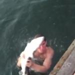 Suya dalıp elleriyle köpekbalığı yakaladı!