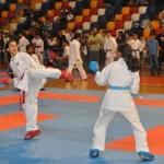 Adıyaman'da karate turnuvası
